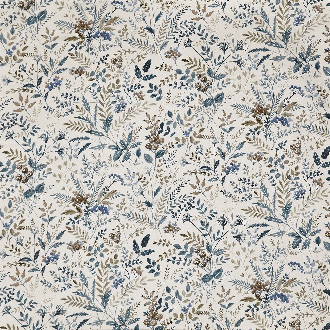 Cleo Cornflower