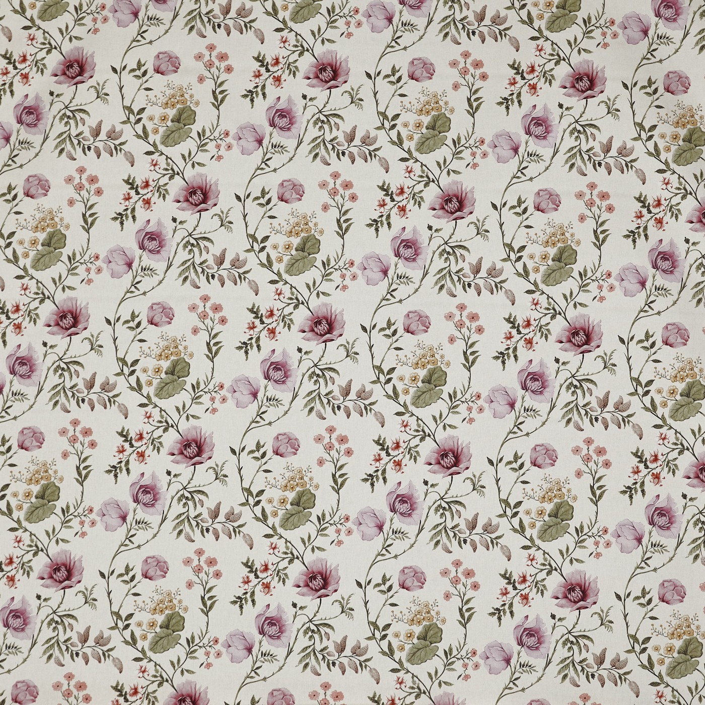 Longmoor Rose