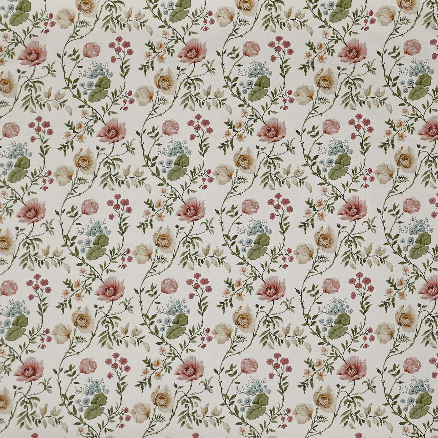 Longmoor Apricot