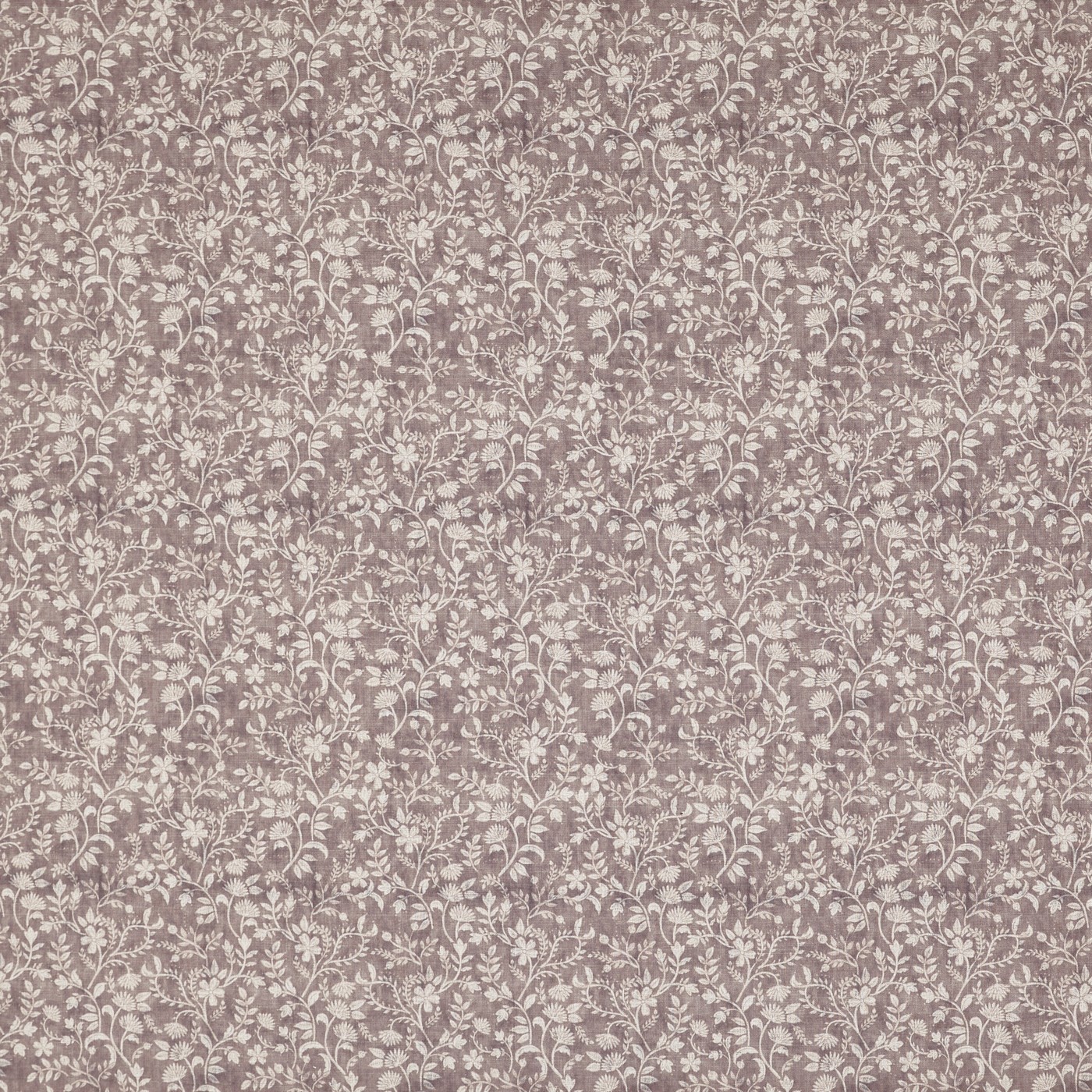 Suri Lotus (pts126)