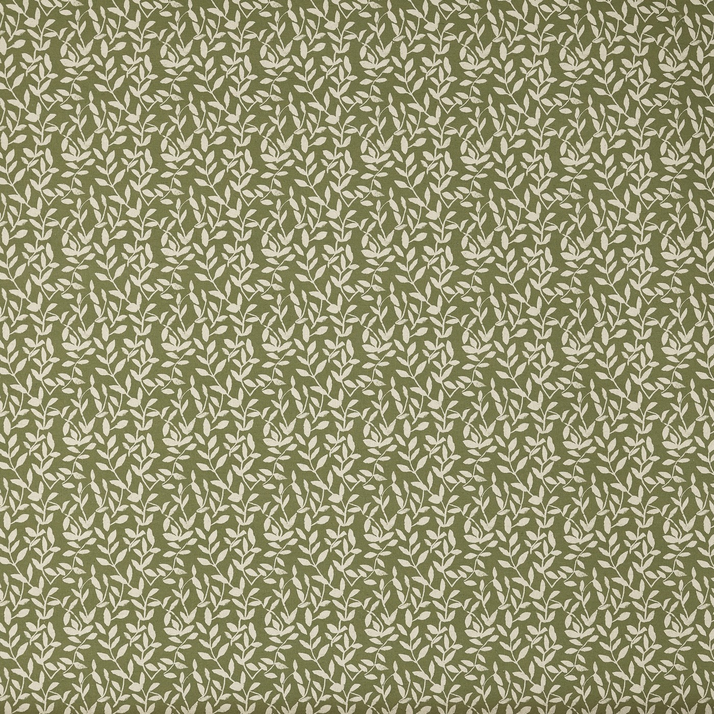 Delilah Cucumber (pts119)