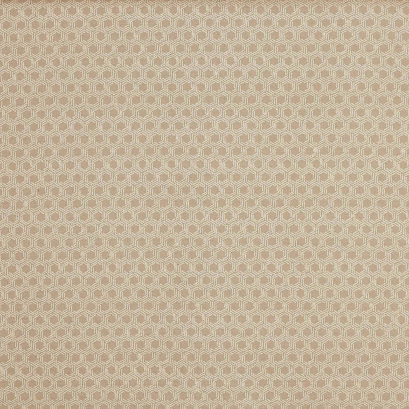Dory Linen (pts119)