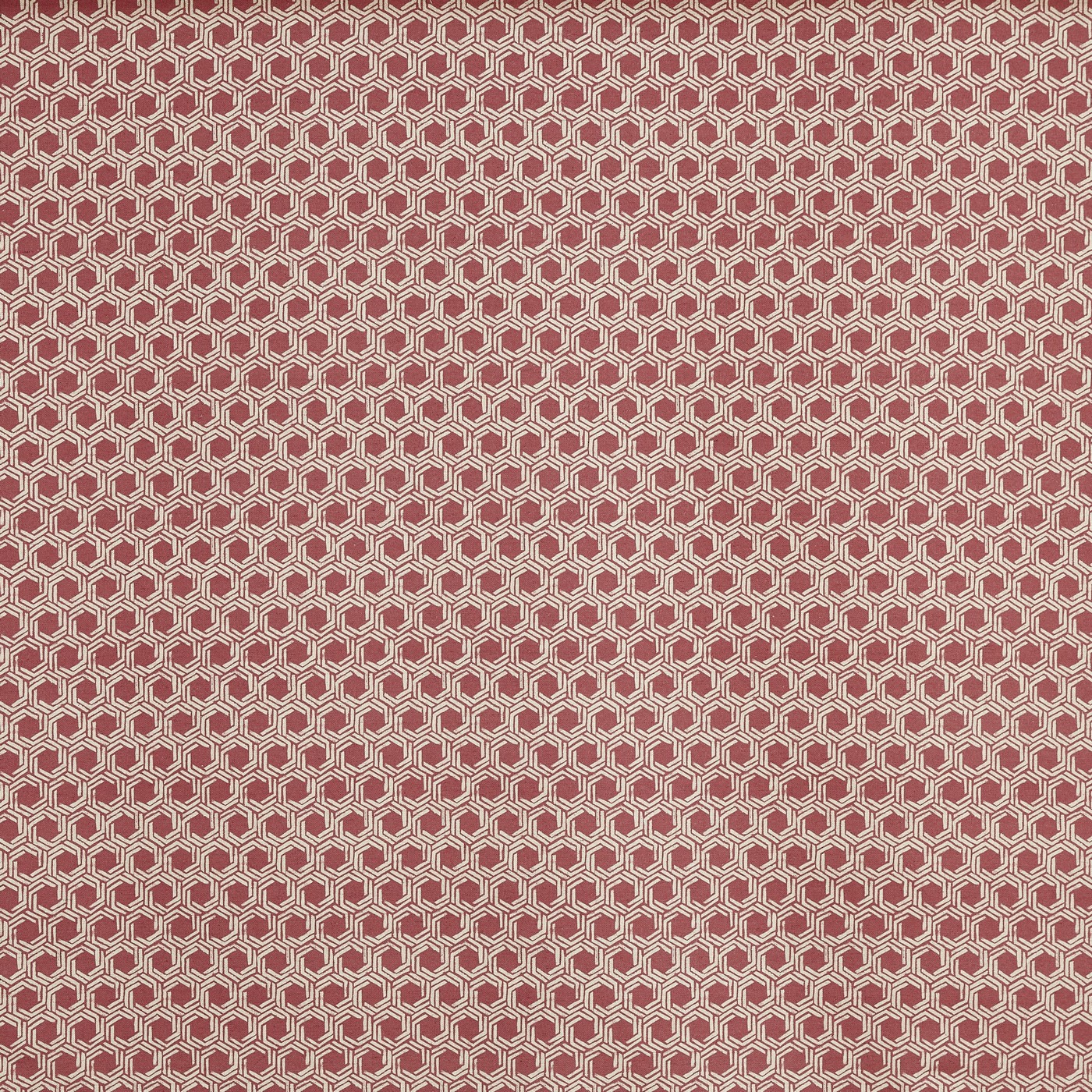 Dory Raspberry (pts119)
