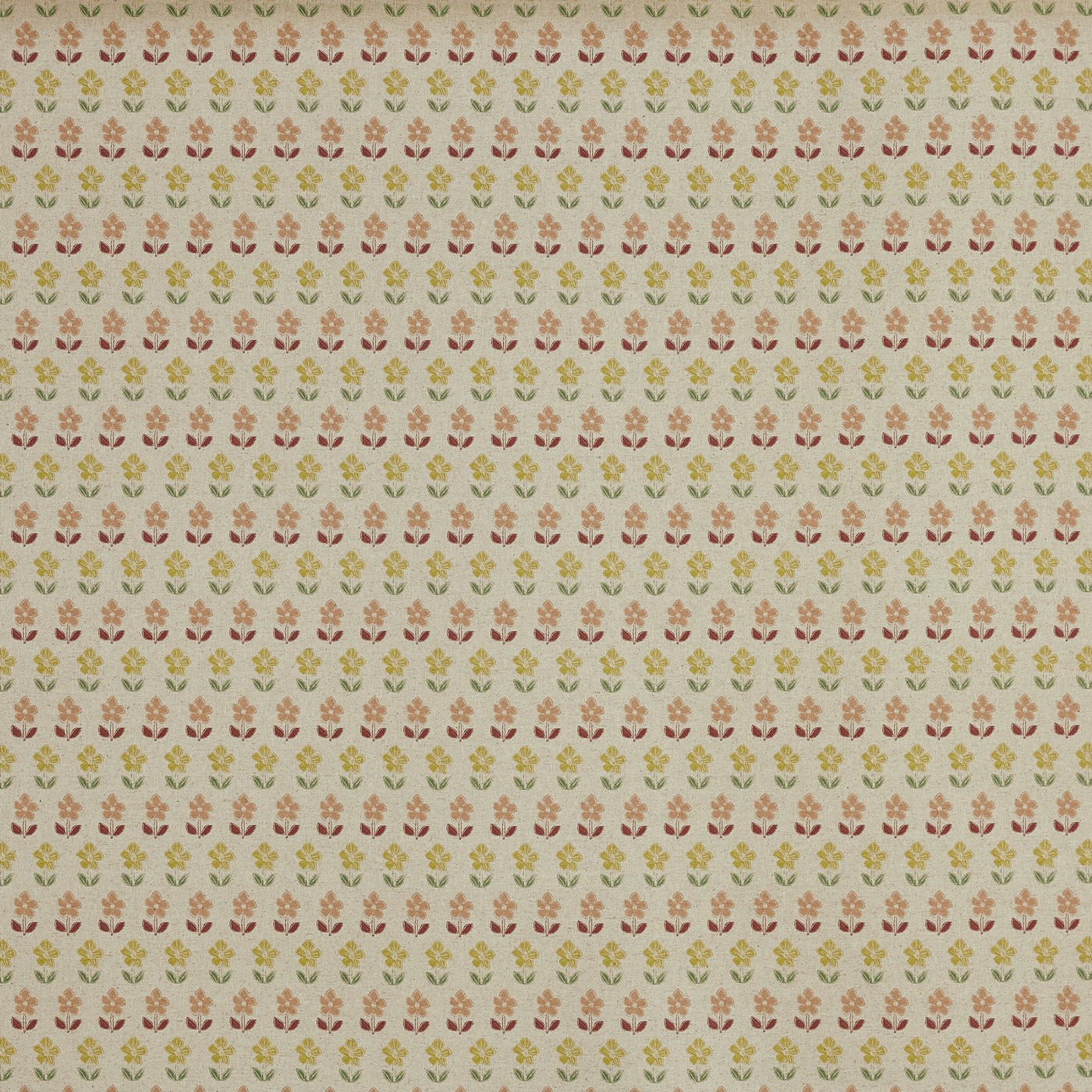 June Raspberry (pts119)