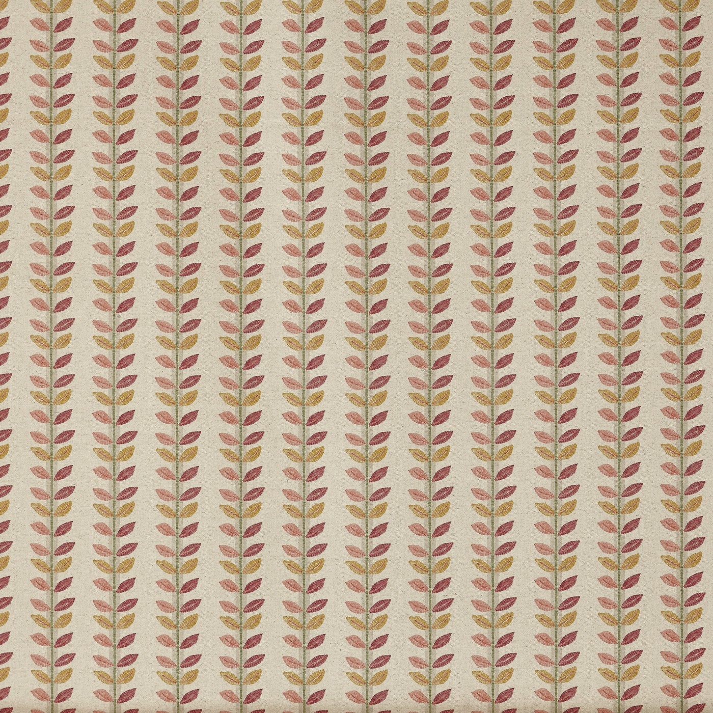 Lili Raspberry (pts119)