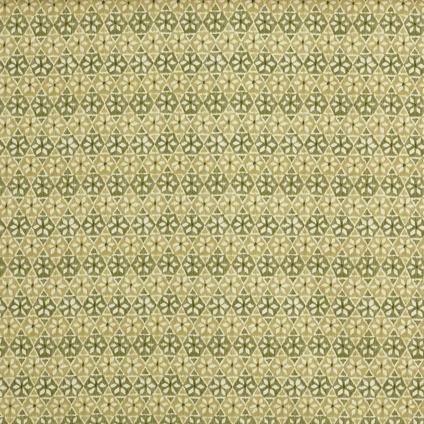 Wilfred Cucumber (pts119)