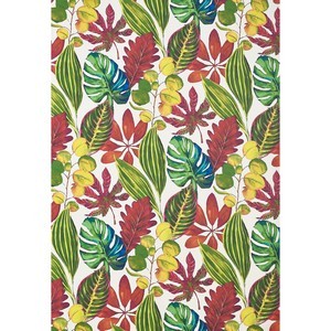 St Maarten Tropical Wallpaper