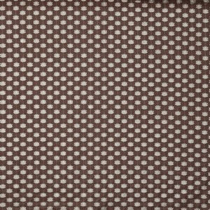 Lodore Cedar