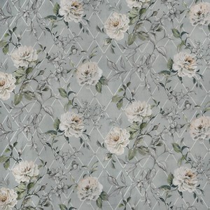 Orangery Porcelain