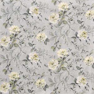 Orangery Primrose